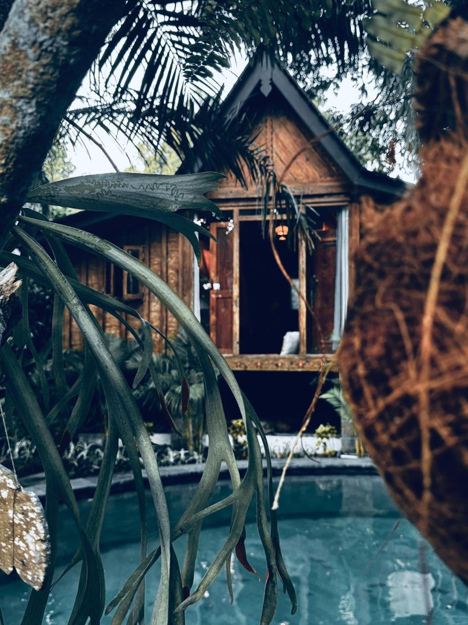 Resort Jungleroom Canggu 外观 照片